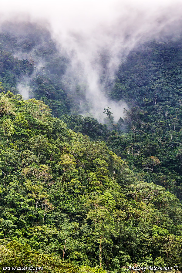 Philippines, Anatoly Beloshchin, Анатолий Белощин