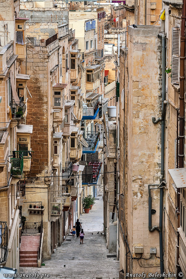 Malta, Anatoly Beloshchin