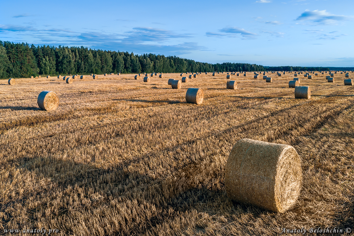Russia, Anatoly Beloshchin 
