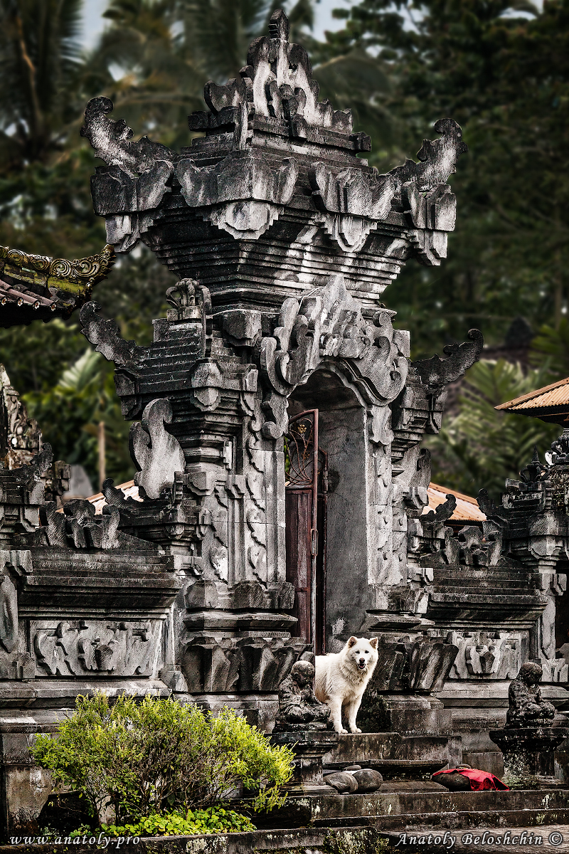 Bali, Indonesia, Anatoly Beloshchin