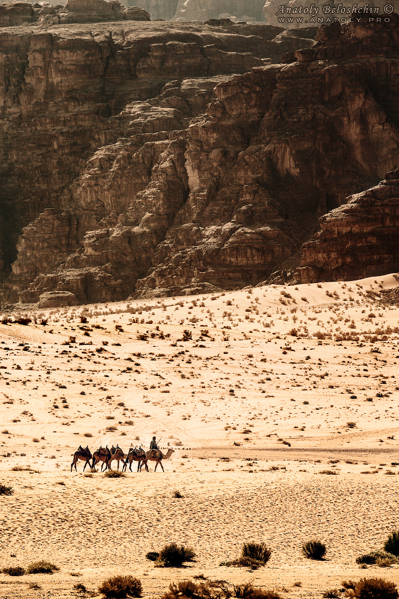 Jordan, Wadi Rum