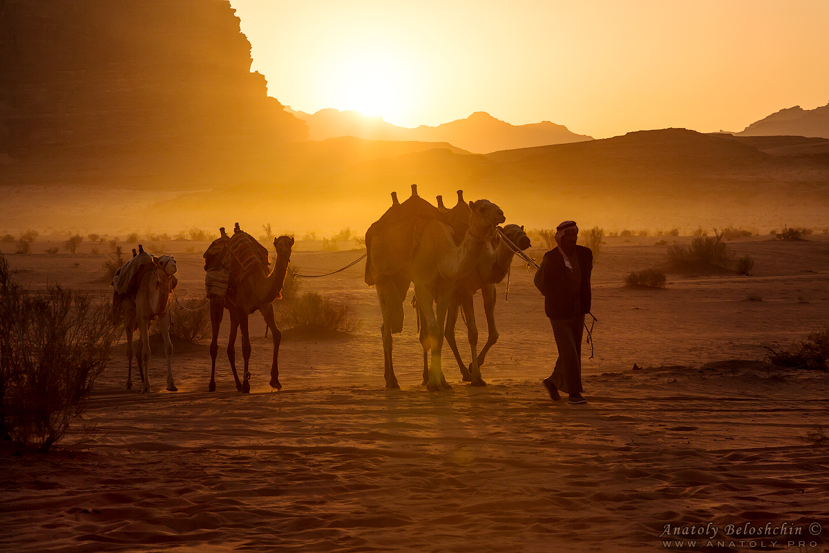 Jordan, Wadi Rum