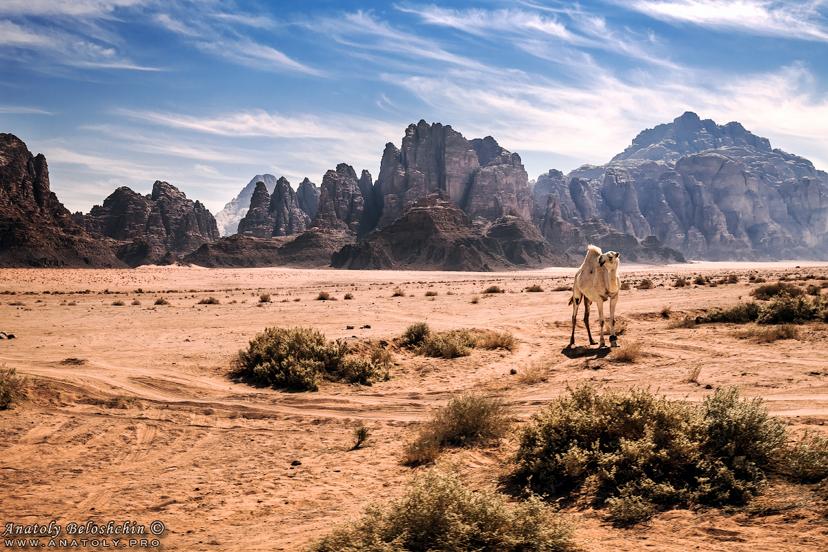 Jordan, Wadi Rum