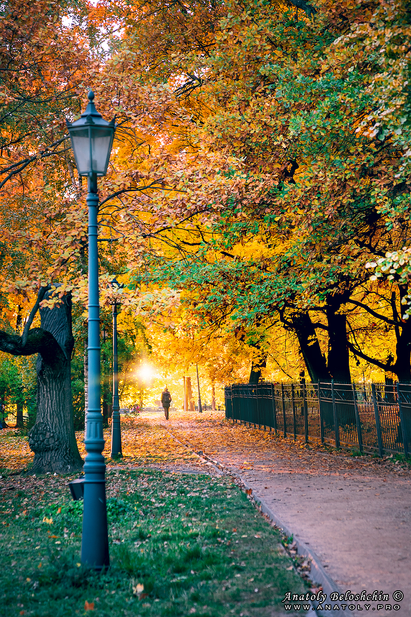 Moscow, Anatoly Beloshchin