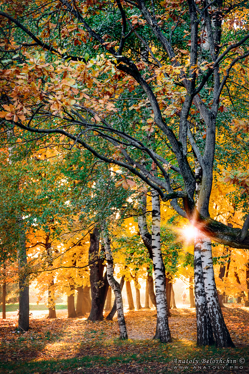 Moscow, Anatoly Beloshchin, Москва, Коломенское