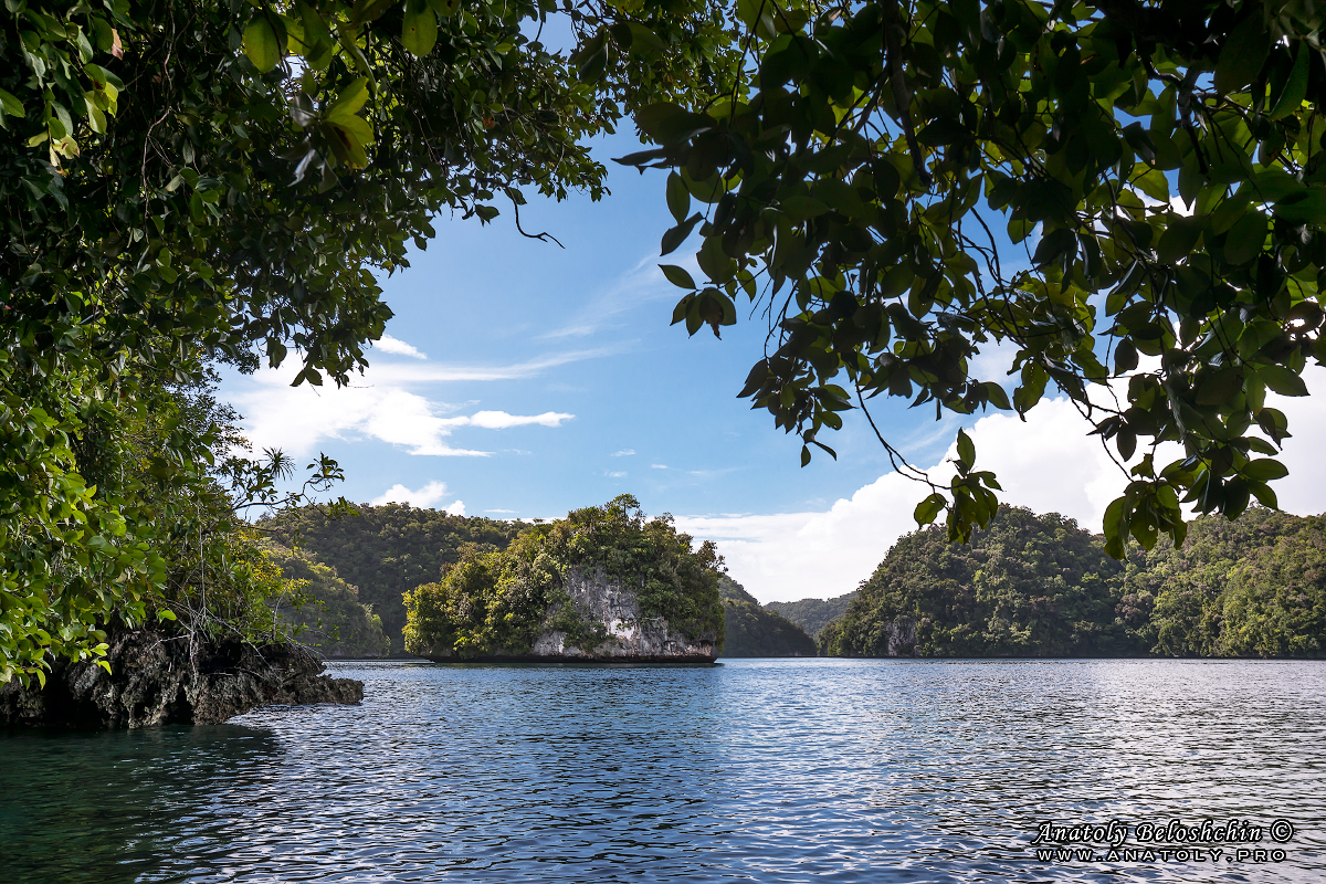 Palau, Anatoly Beloshchin, Палау, Анатолий Белощин