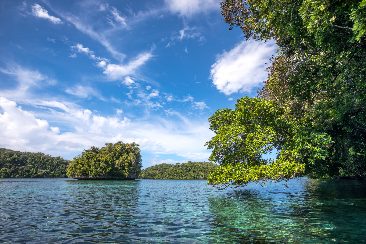 Palau, Anatoly Beloshchin, Палау, Анатолий Белощин