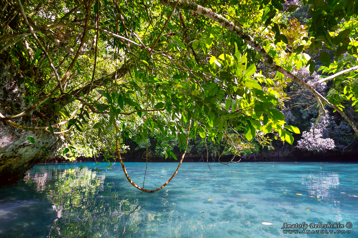 Palau, Anatoly Beloshchin, Палау, Анатолий Белощин