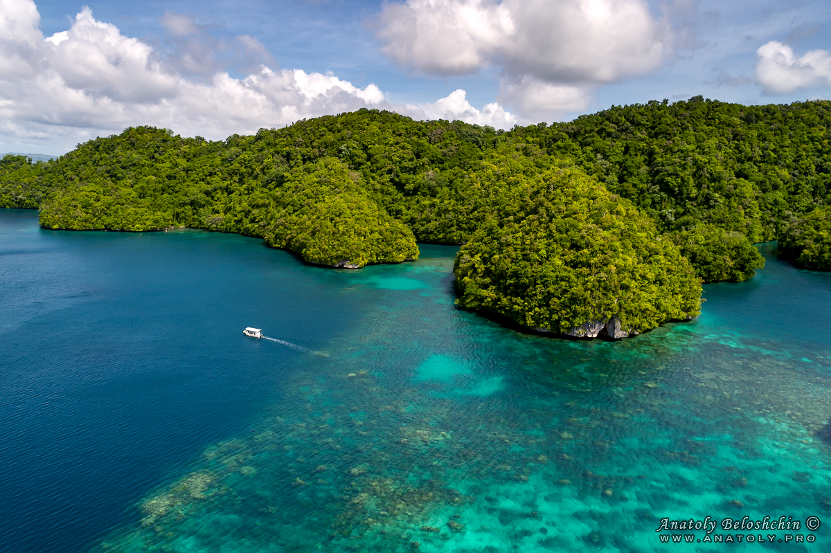 Palau, Anatoly Beloshchin, Палау, Анатолий Белощин