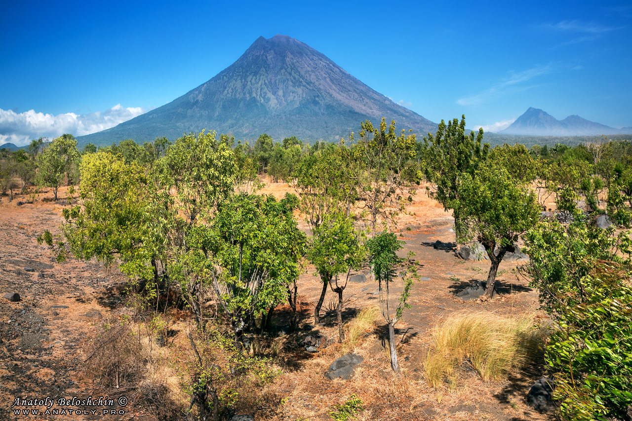 Bali, Anatoly Beloshchin