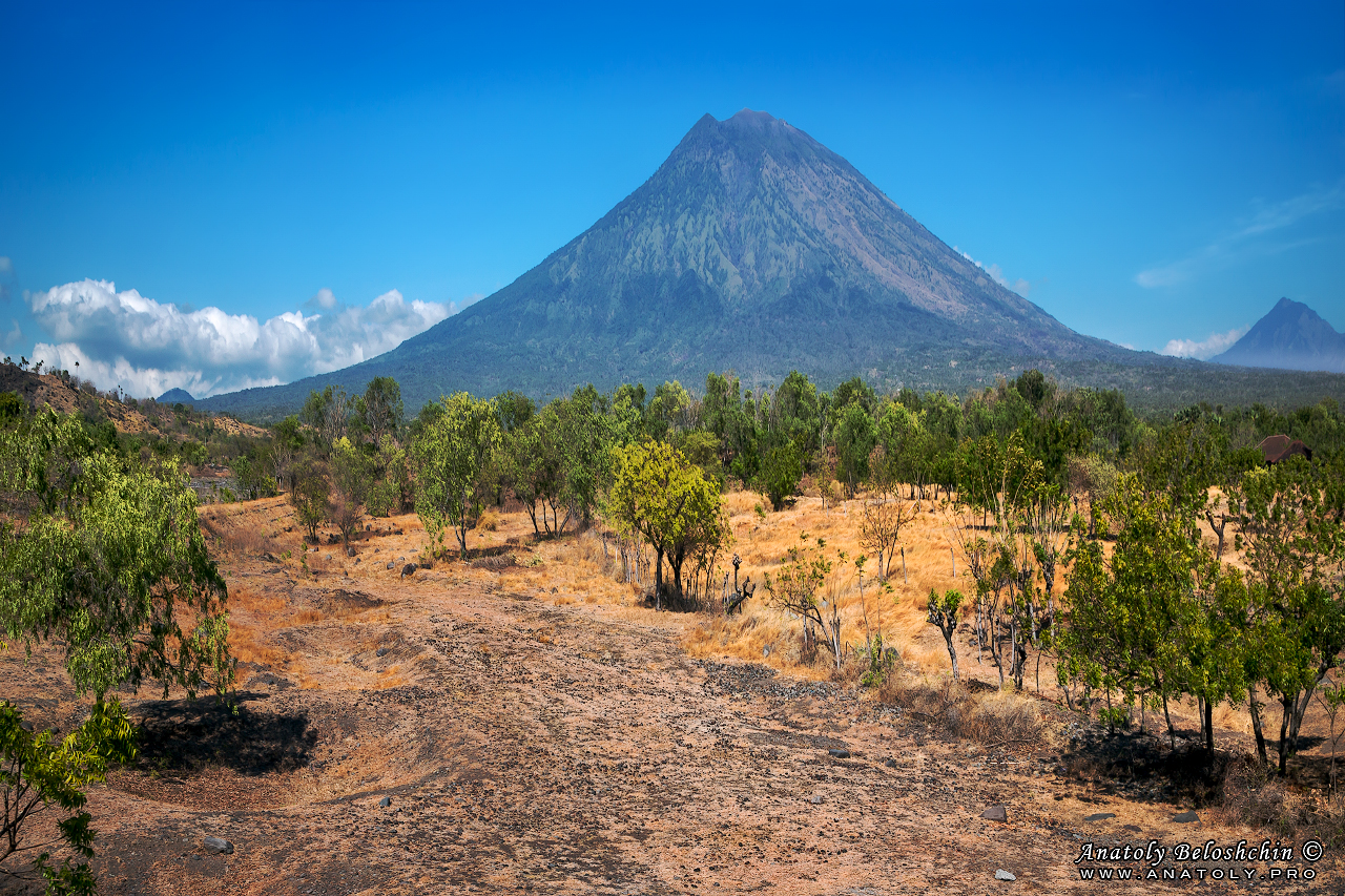 Bali, Anatoly Beloshchin