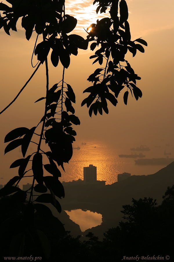 Hong Kong,  Anatoly Beloshchin, Анатолий Белощин
