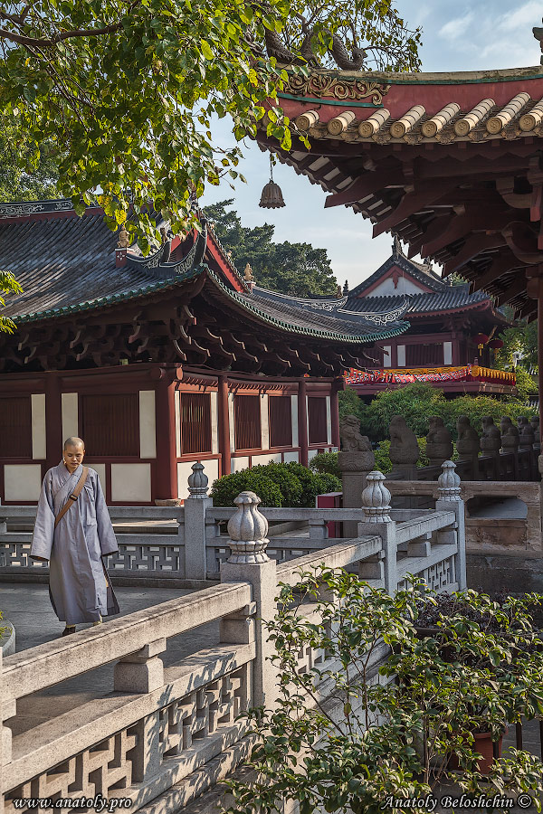 China,  Anatoly Beloshchin, Анатолий Белощин