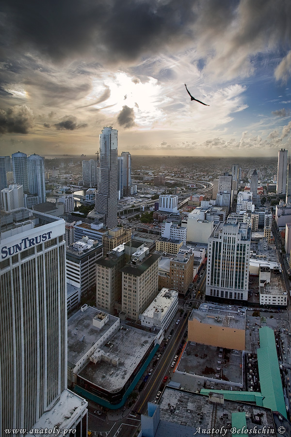 Miami, USA, Anatoly Beloshchin, Анатолий Белощин
