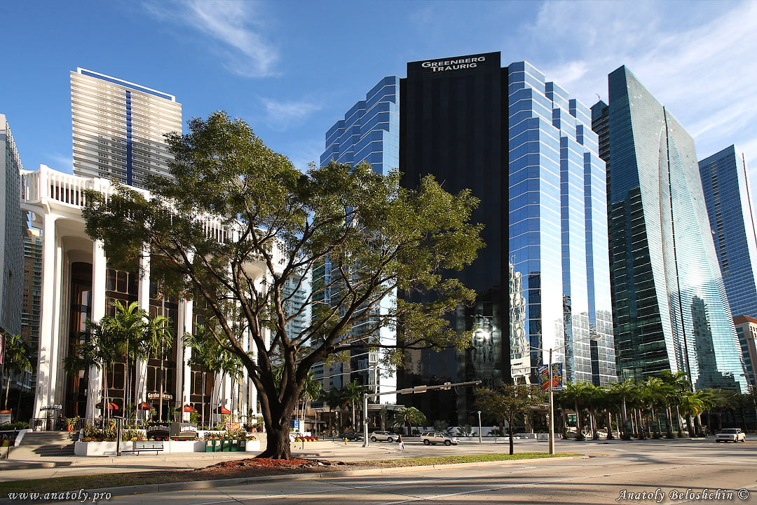 Miami, USA, Anatoly Beloshchin, Анатолий Белощин
