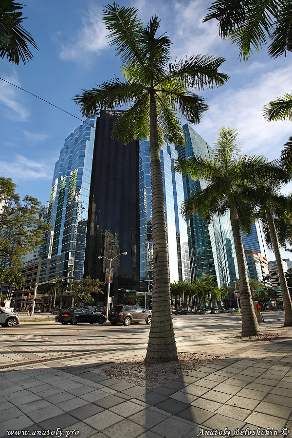 Miami, USA, Anatoly Beloshchin, Анатолий Белощин