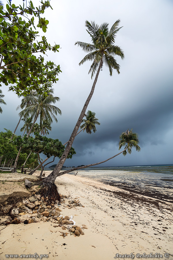 Philippines, Negros Island, Anatoly Beloshchin, Анатолий Белощин