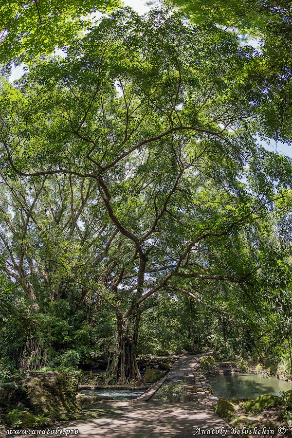 Philippines, Negros Island, Anatoly Beloshchin, Анатолий Белощин
