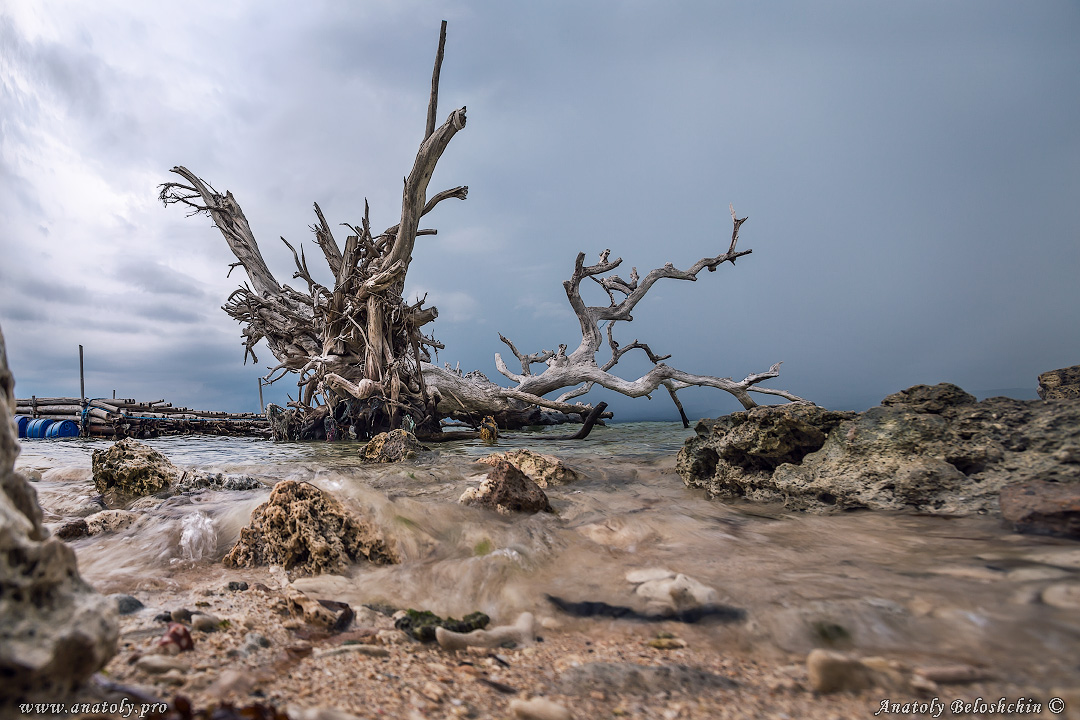 Philippines, Bohol, Anatoly Beloshchin, Анатолий Белощин