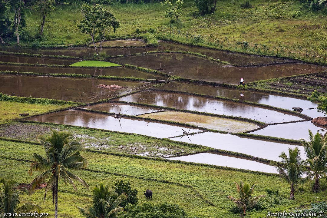 Philippines, Bohol, Anatoly Beloshchin, Анатолий Белощин