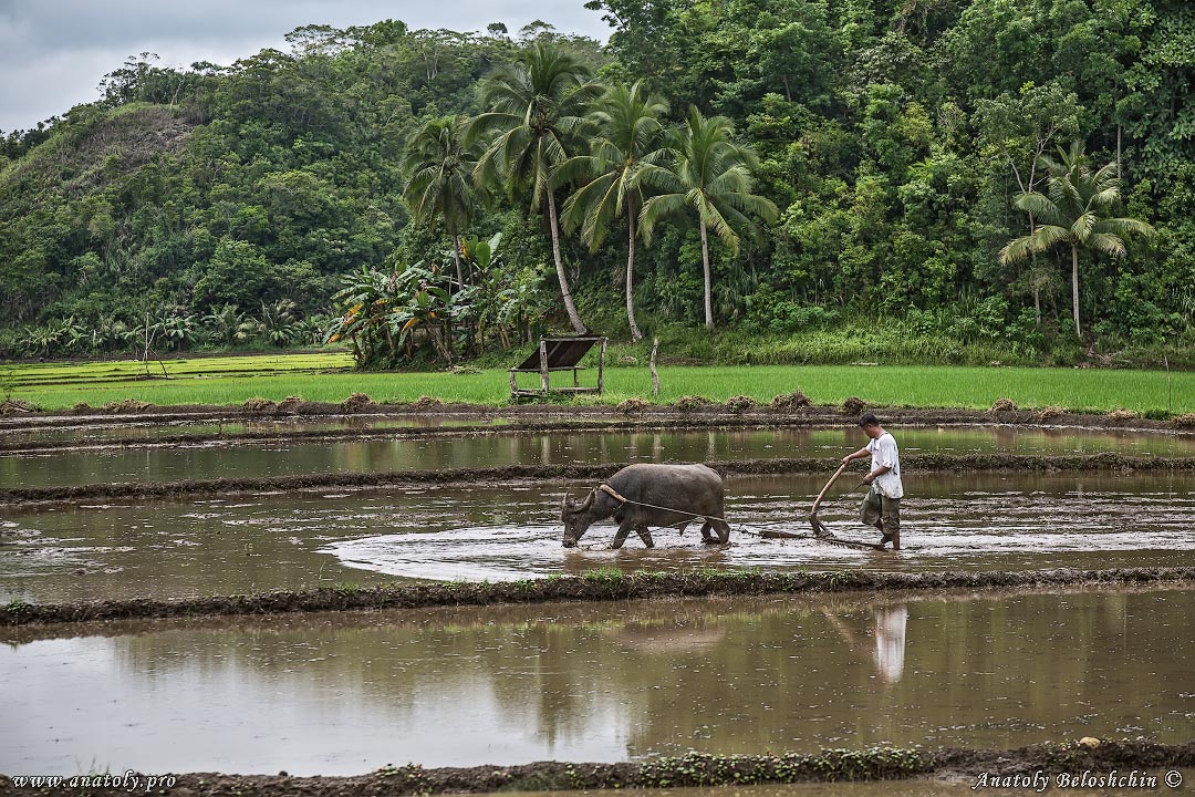 Philippines, Bohol, Anatoly Beloshchin, Анатолий Белощин
