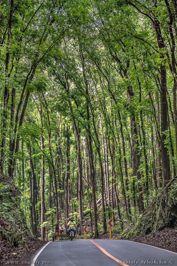 Philippines, Bohol, Anatoly Beloshchin, Анатолий Белощин
