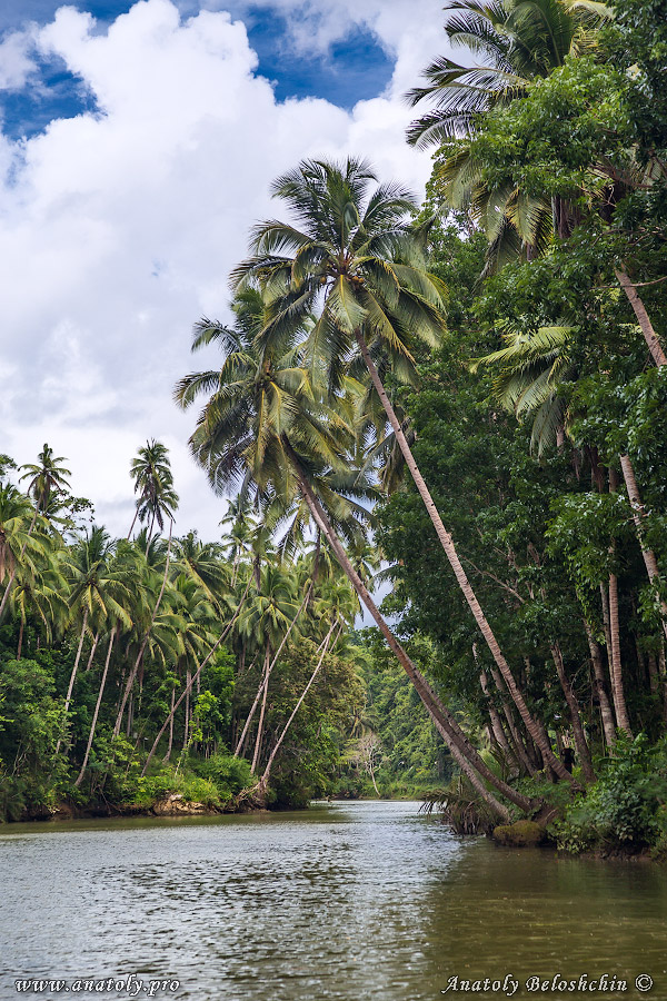Philippines, Bohol, Anatoly Beloshchin, Анатолий Белощин