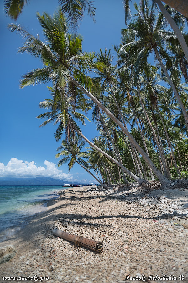 Philippines, Verde island, Anatoly Beloshchin, Анатолий Белощин