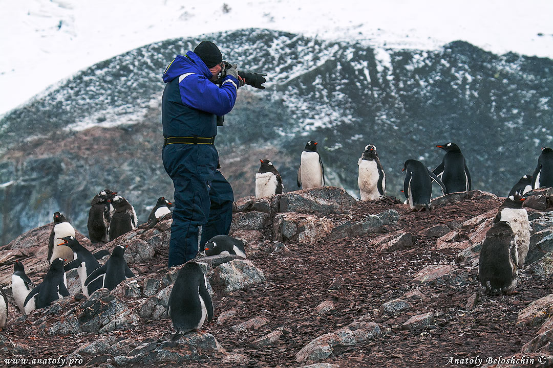 Antarctica, Anatoly Beloshchin, Анатолий Белощин, Антарктида