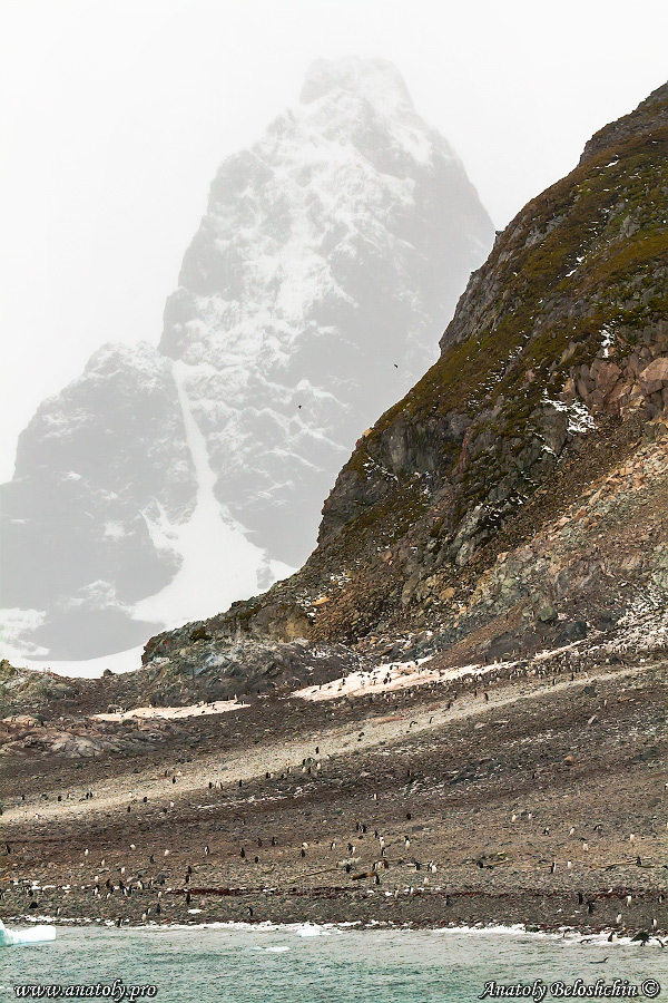 Antarctica, Anatoly Beloshchin, Анатолий Белощин, Антарктида