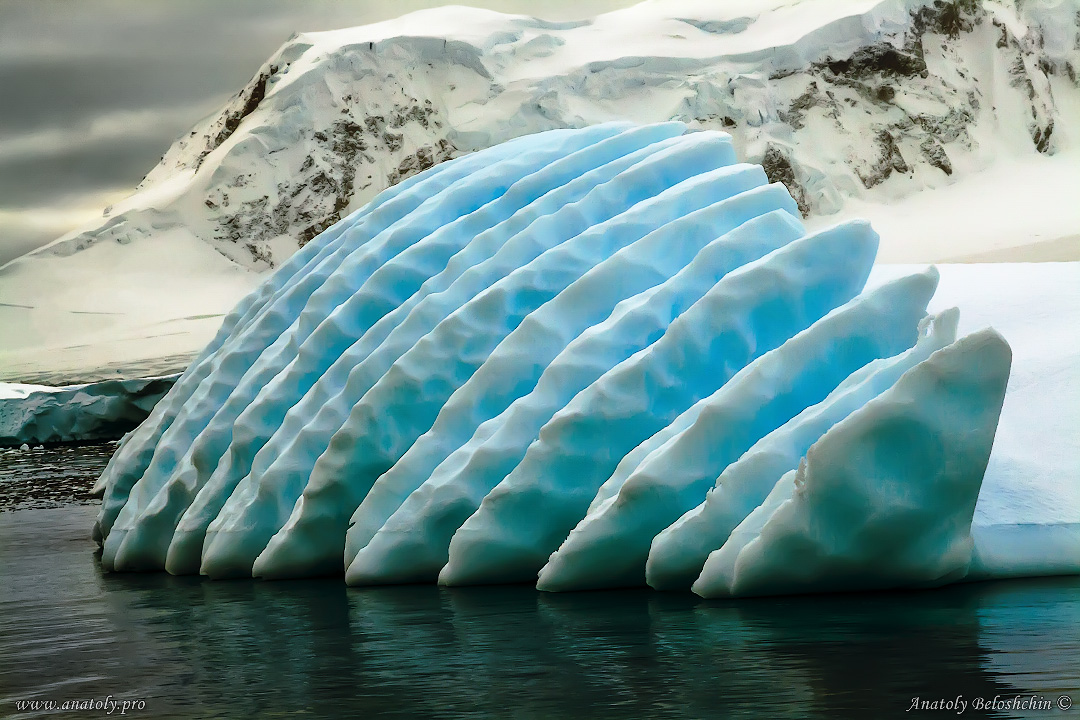 Antarctica, Anatoly Beloshchin, Анатолий Белощин, Антарктида
