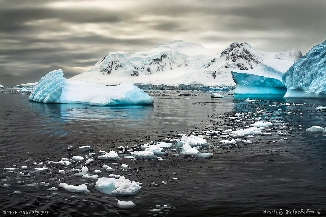 Antarctica, Anatoly Beloshchin, Анатолий Белощин, Антарктида