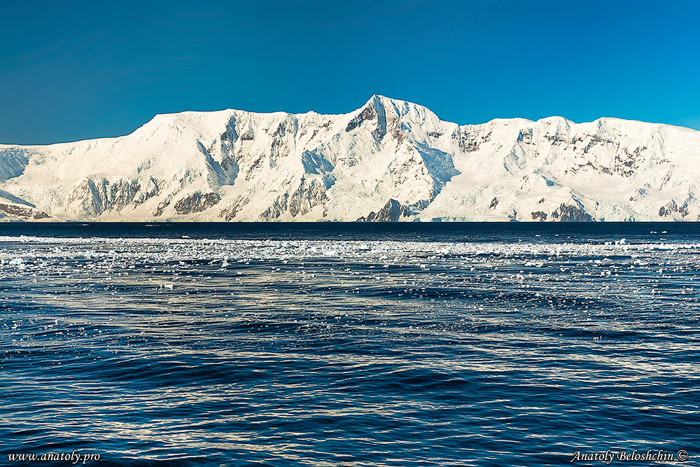 Antarctica, Anatoly Beloshchin, Анатолий Белощин, Антарктида