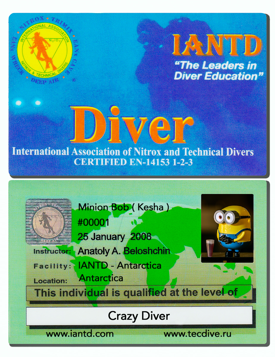 Minions Diver licence