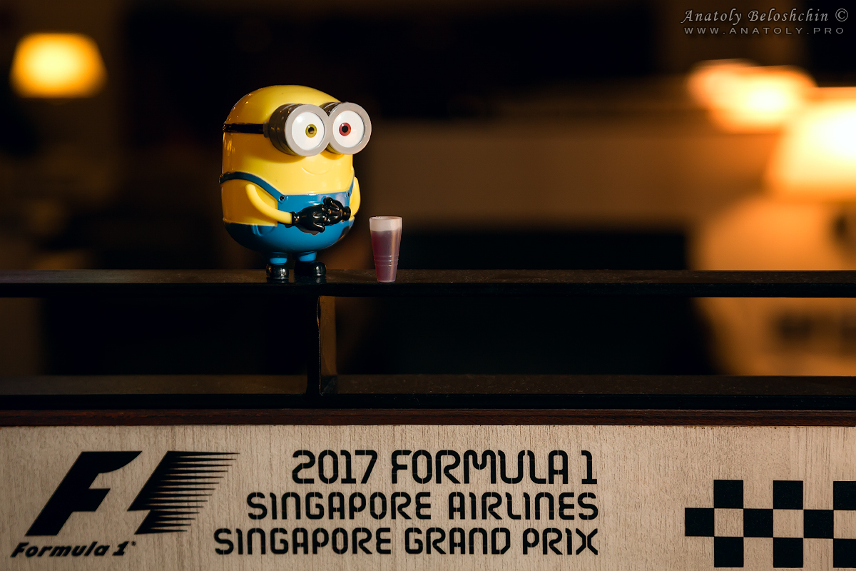 Minion - walcom to Singapore