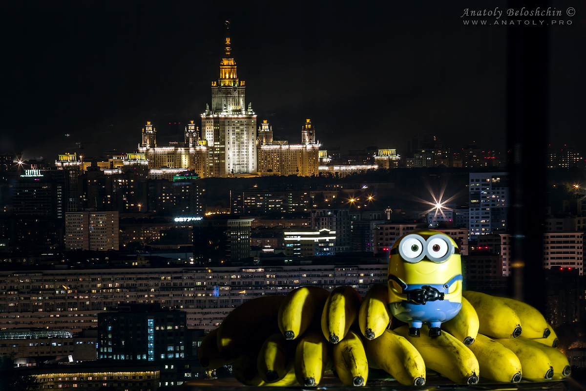 Minion, banana and Moscow State University 