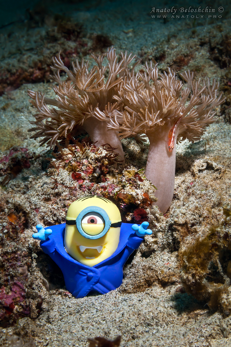 Bali. Indonesia. Anatoly Beloshchin. Анатолий Белощин