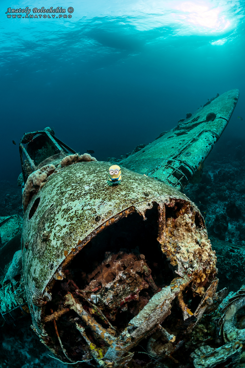 Palau, Anatoly Beloshchin, Палау, Анатолий Белощин, миньон, minion