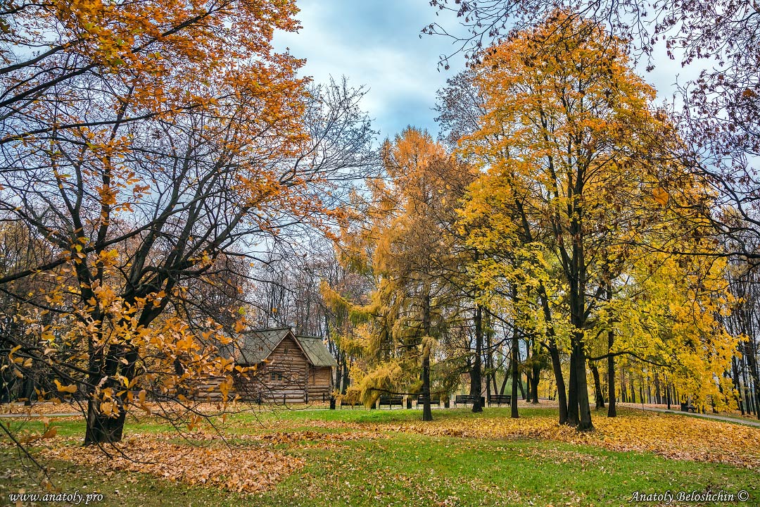 Moscow, Autumn, Anatoly Beloshchin