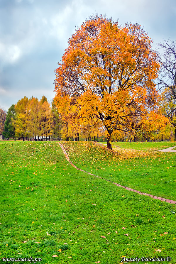 Moscow, Autumn, Anatoly Beloshchin