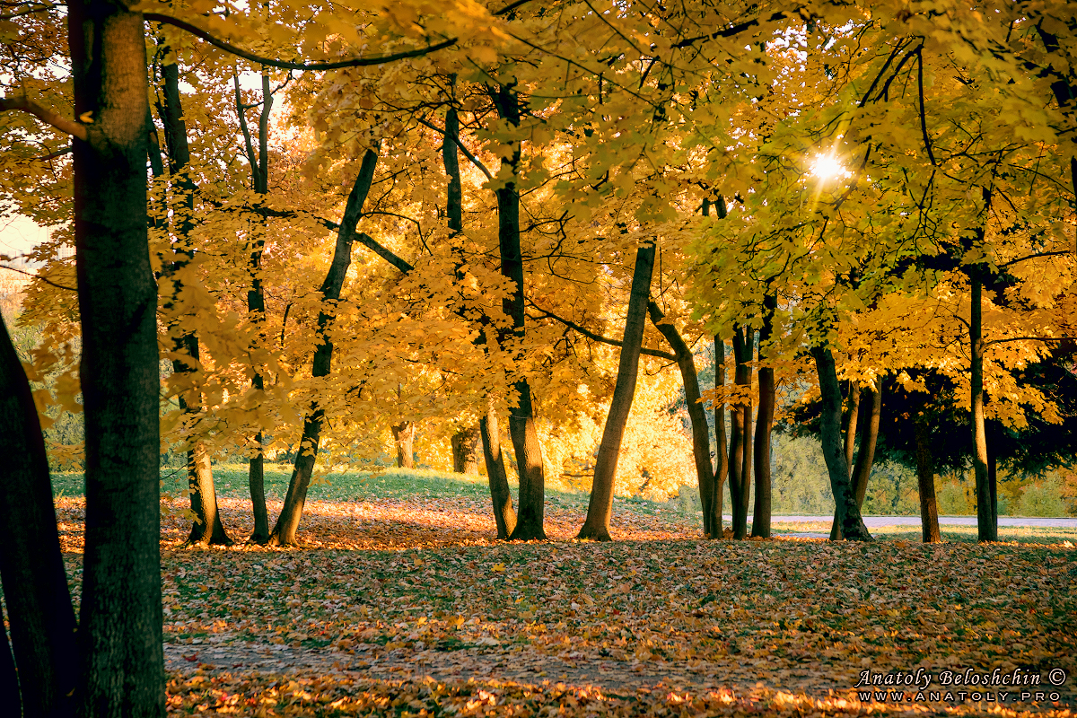 Москва, Коломенское