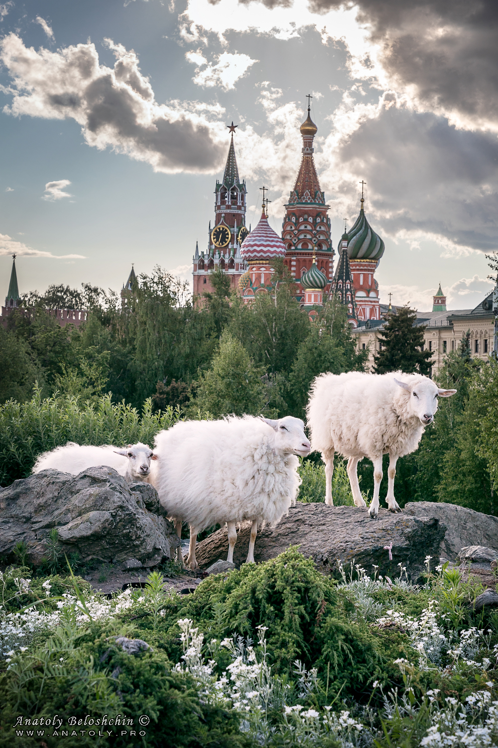 Парк Зарядье; Moscow; Anatoly Beloshchin, Москва, Анатолий Белощин