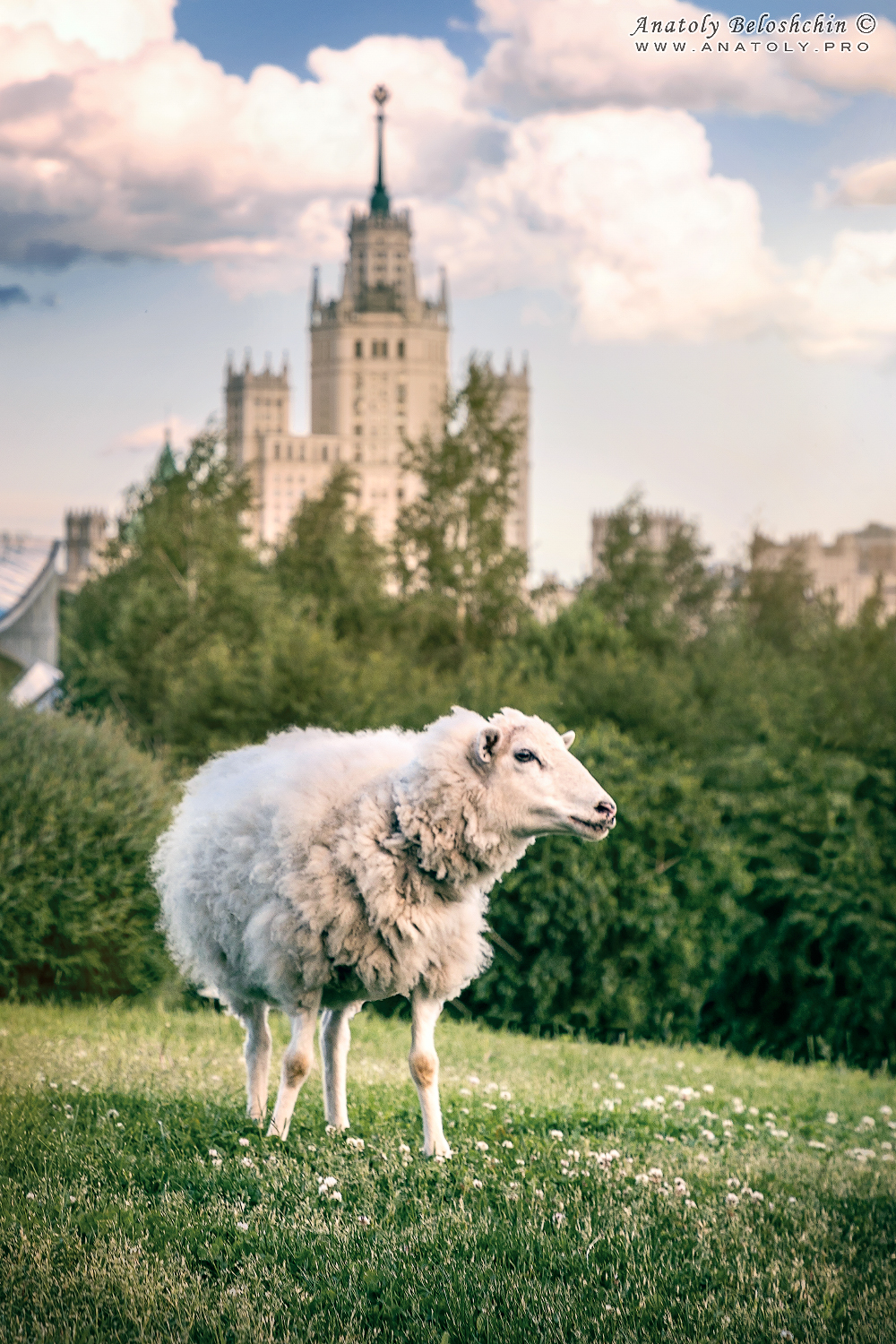 Moscow; Anatoly Beloshchin, Москва, Анатолий Белощин