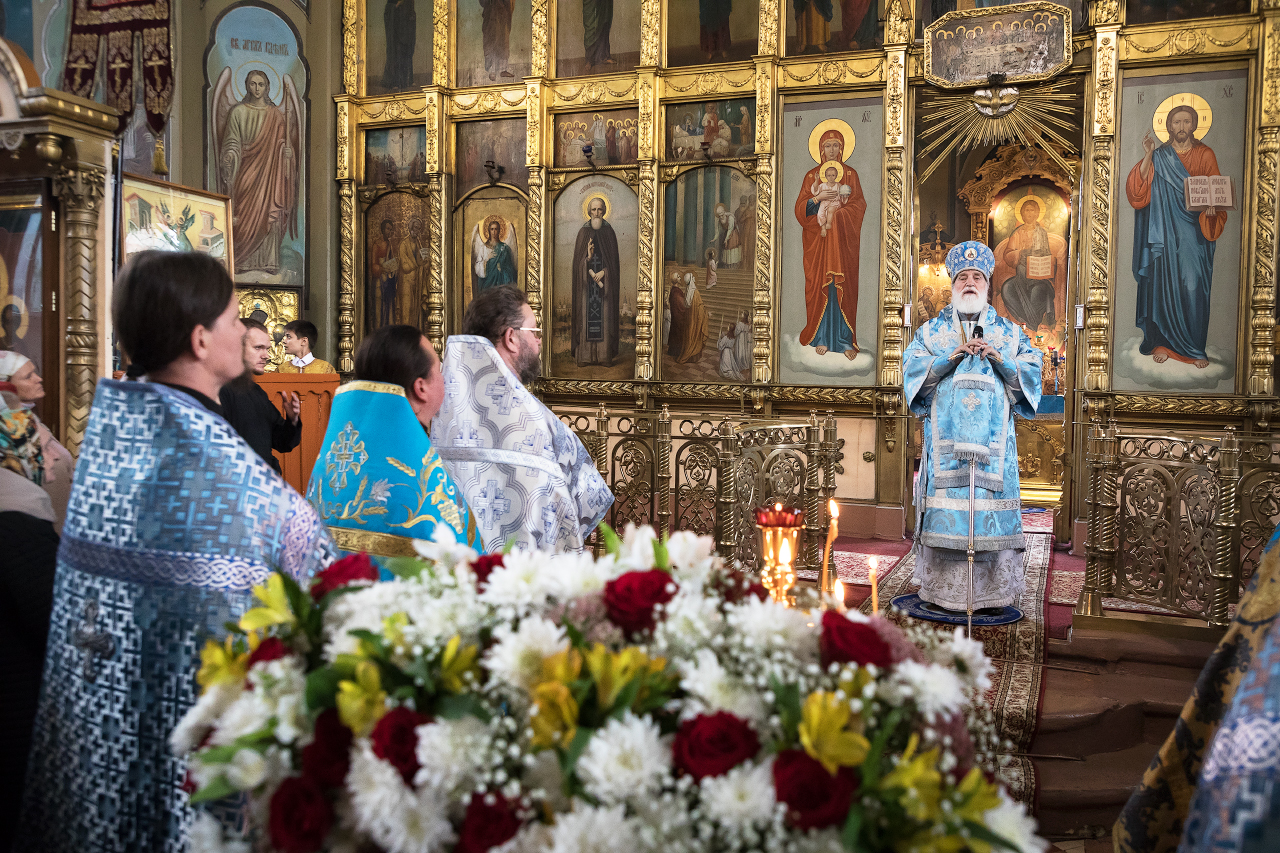 Митрополит Крутицкий и Коломенский Павел