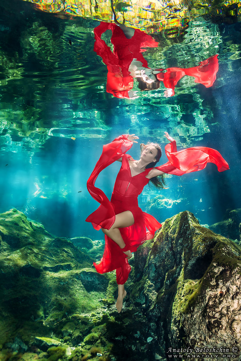 Cenote Minotauro. Quintana Roo. Mexico. Photo by Anatoly Beloshchin