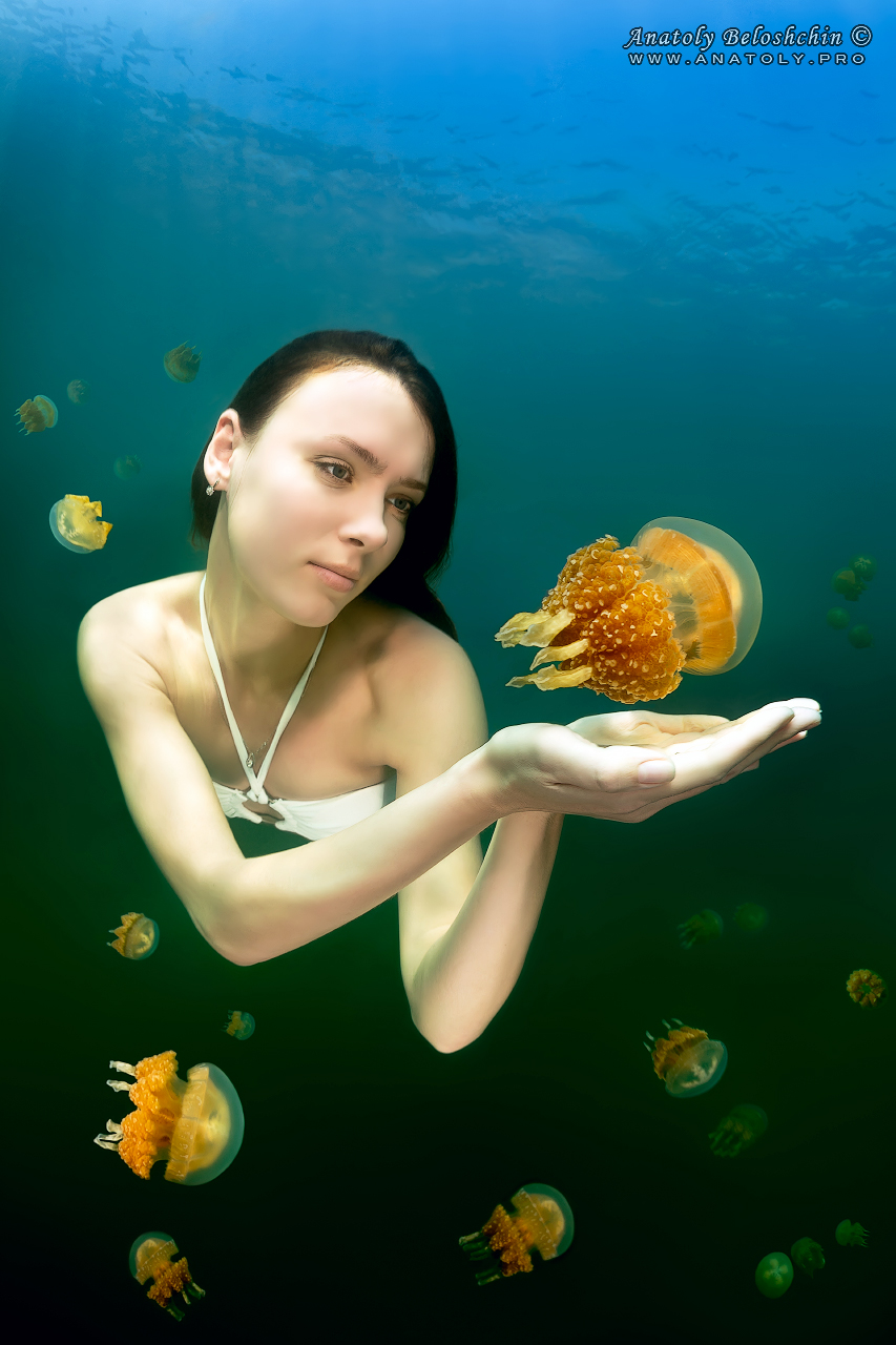 Palau, Anatoly Beloshchin, Палау, Анатолий Белощин, Jellyfish lake