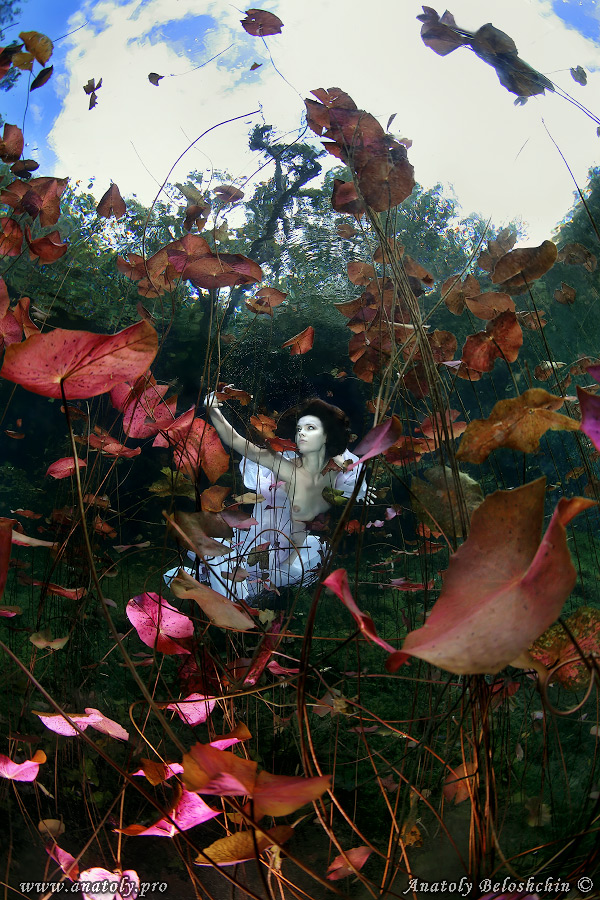 Underwater model, Beloshchin, Белощин