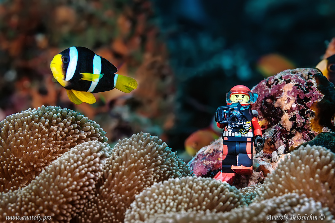 Maldives, Anatoly Beloshchin, Анатолий Белощин    