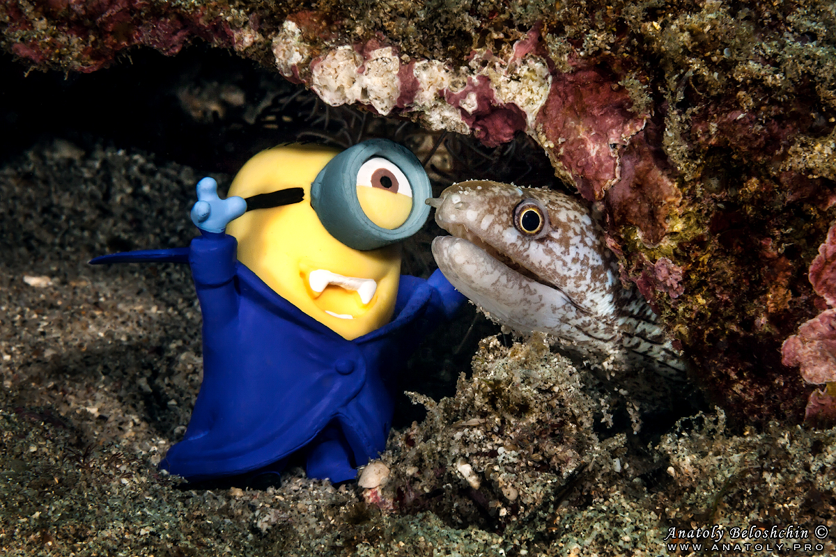Minion underwater
