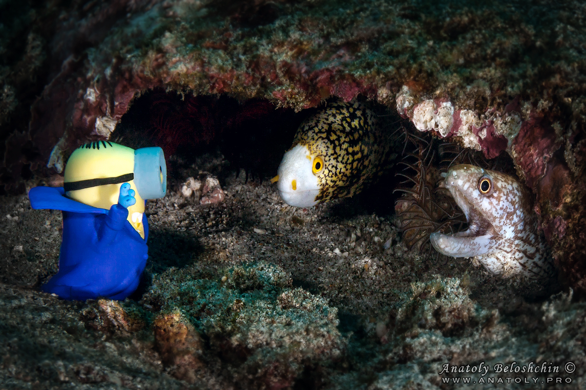 Bali. Indonesia. Anatoly Beloshchin. Анатолий Белощин